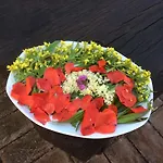مزرعة للإقامة Nidodelfalcone Agriturismo *