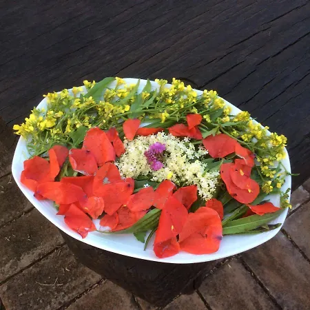 ファームステイ Nidodelfalcone Agriturismo *