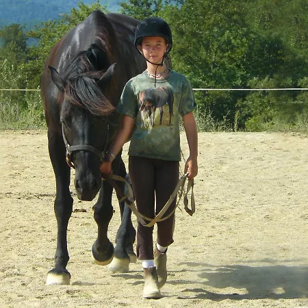 Nidodelfalcone Agriturismo * Monteleone dʼOrvieto