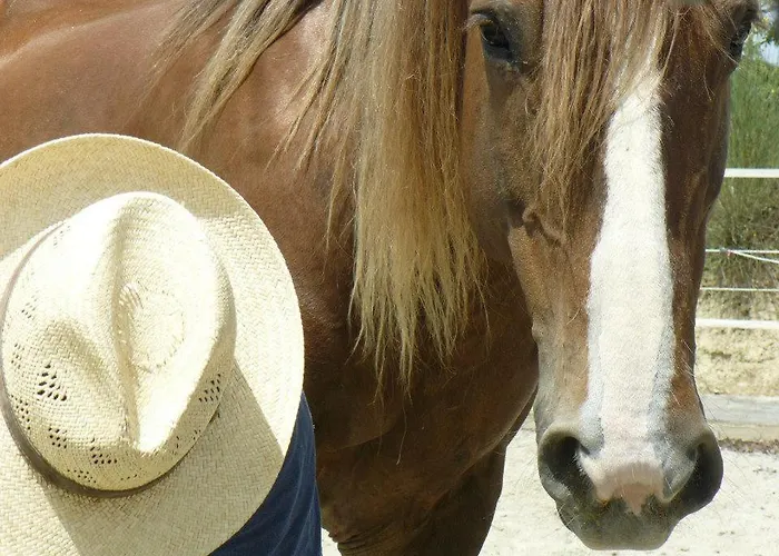 Agroturismo Nidodelfalcone Agriturismo *