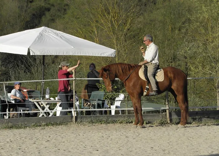 Nidodelfalcone Agriturismo Agroturismo