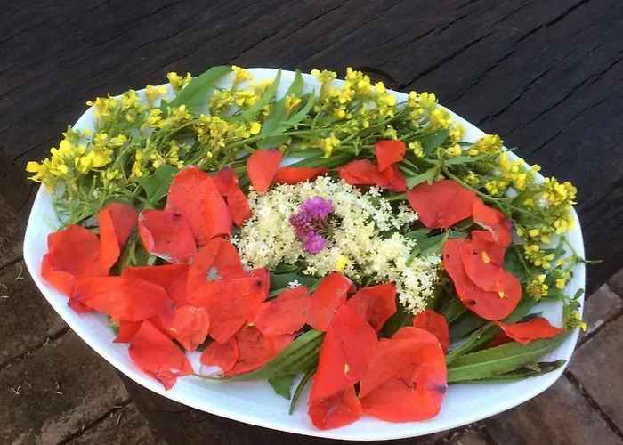 Agroturismo Nidodelfalcone Agriturismo *