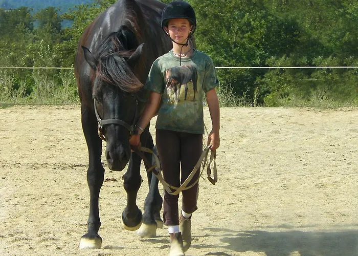 Nidodelfalcone Agriturismo * Monteleone dʼOrvieto